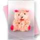 Teddy Bear Soft Toy - Orange | Teddy Bear | TOYS AND GEAR at Sonamoni.com