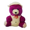 Teddy Bear Soft Toy - Purple
