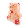 Teddy Bear Soft Toy – Orange