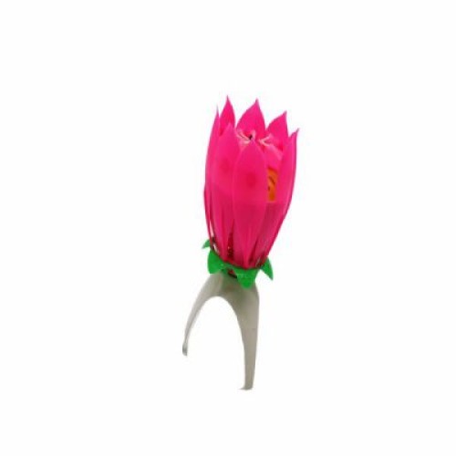Musical Water Lily Candle | Candle & Stand | BIRTHDAY ITEMS at Sonamoni.com