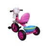 Tricycle - Pink