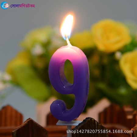 Birthday Cake Decoretion 9 Digit Candle | at Sonamoni BD