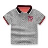 Half Sleeves POLO T-Shirt - Gray Colour | Polo Shirt | T-shirt at Sonamoni.com