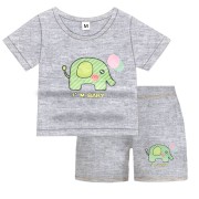Baby T-Shirt and Shorts Set - Gray