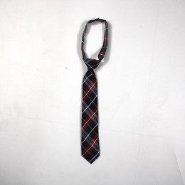 Casual Small Tie - Red and Black