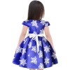 Girls Fashionable Party Frock - Blue