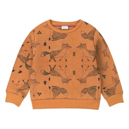 Baby Sweat Shirt-Brown Color