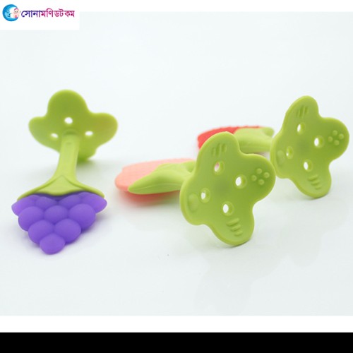 Baby Fruit Teether with Storage Box